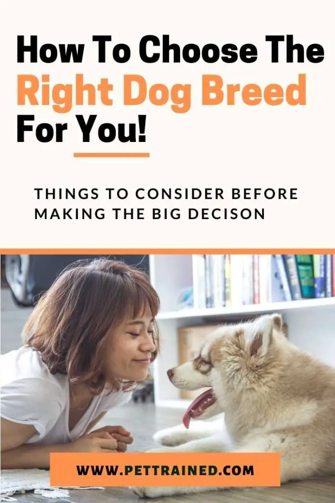 How to choose the right dog breed for you fast
