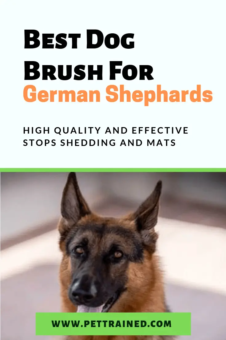 Best Dog Brush For German Shepherds