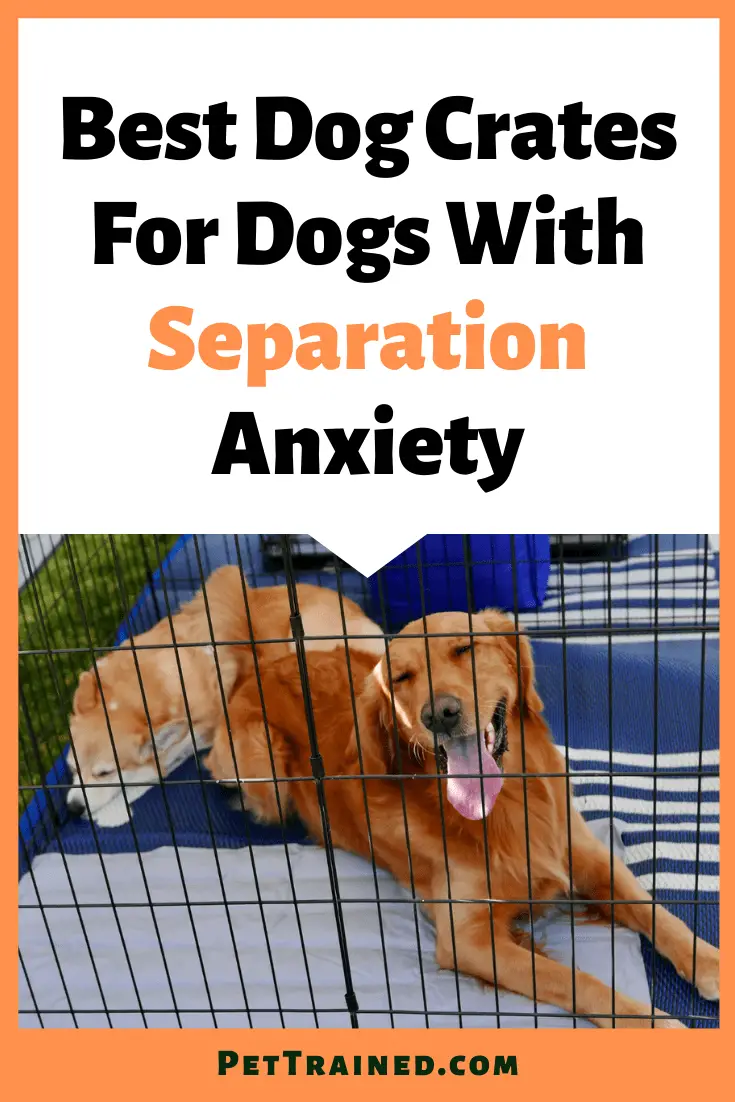 Best Dog Crates For Dog With Separation Anxiety Pet Trained