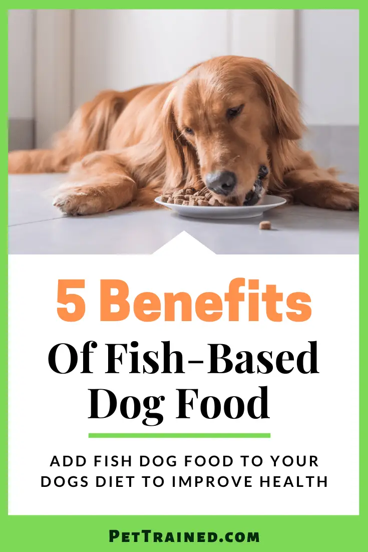 Benefits of Fish-based dog food