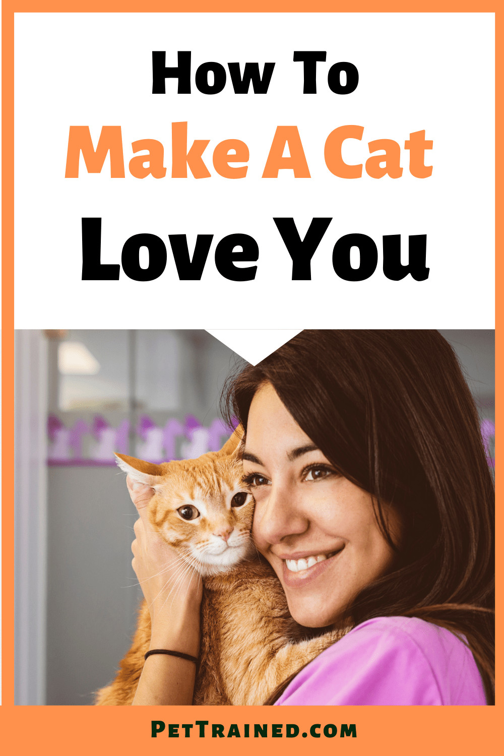 How to make a cat love you fast