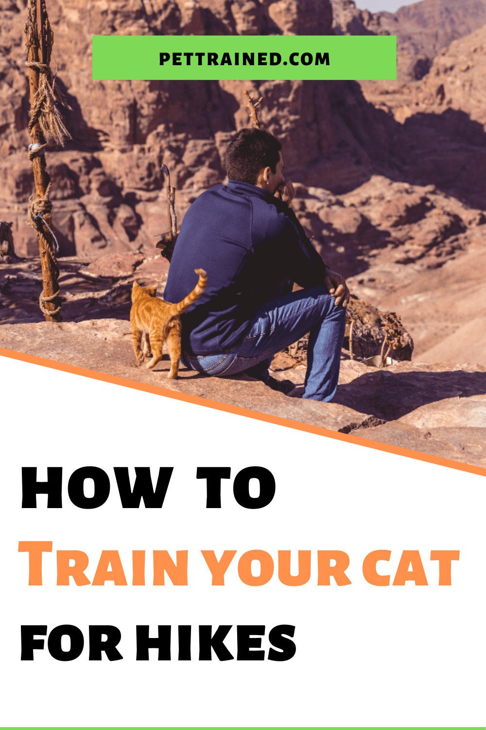 best cat breeds for hiking