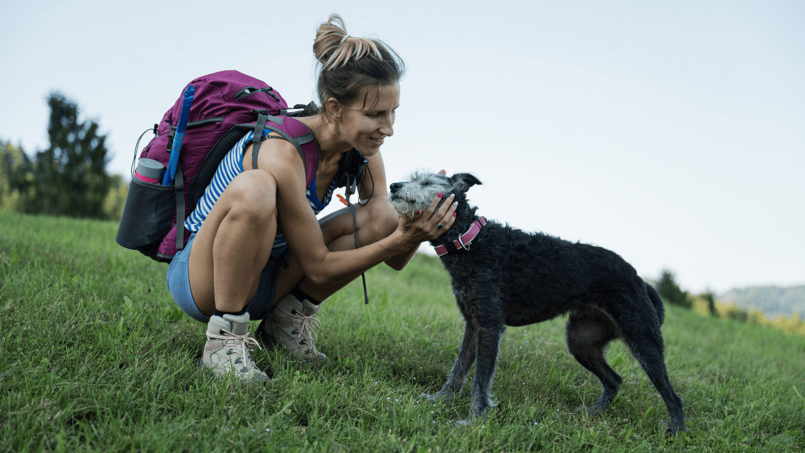 How To Train A Dog For Hiking