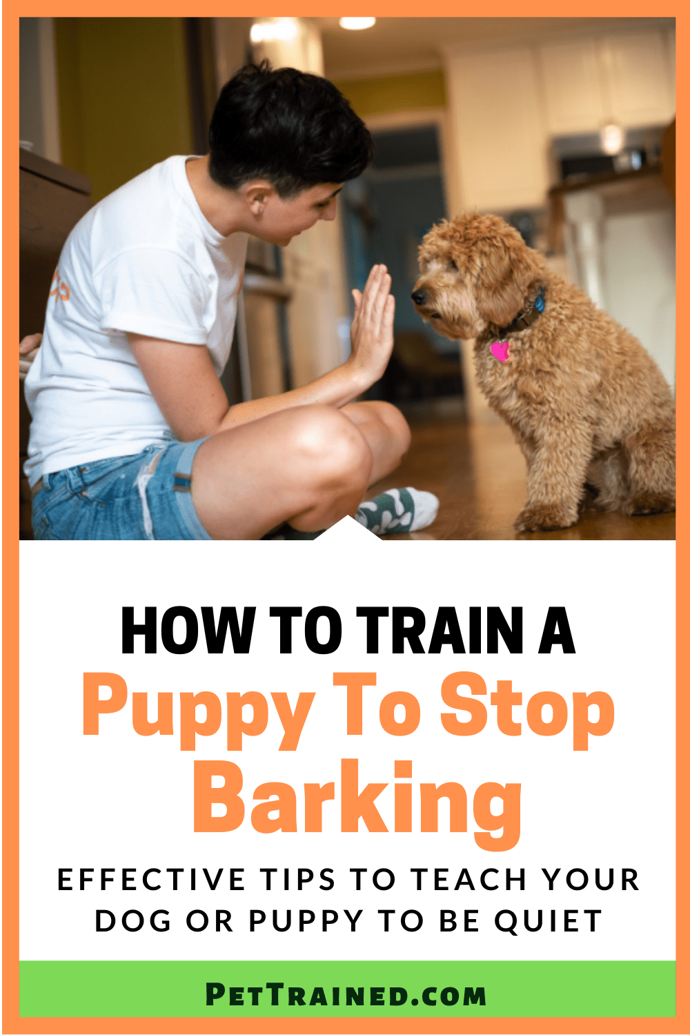 How To Train A Puppy To Stop Barking Pet Trained