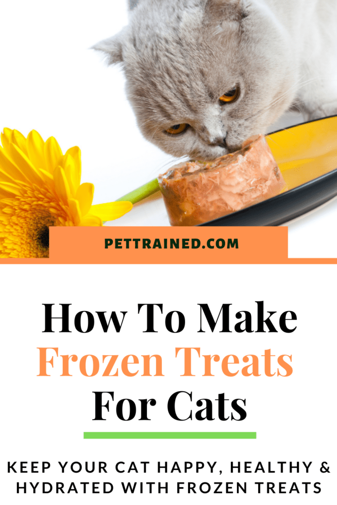 how to make freezer treats for cats