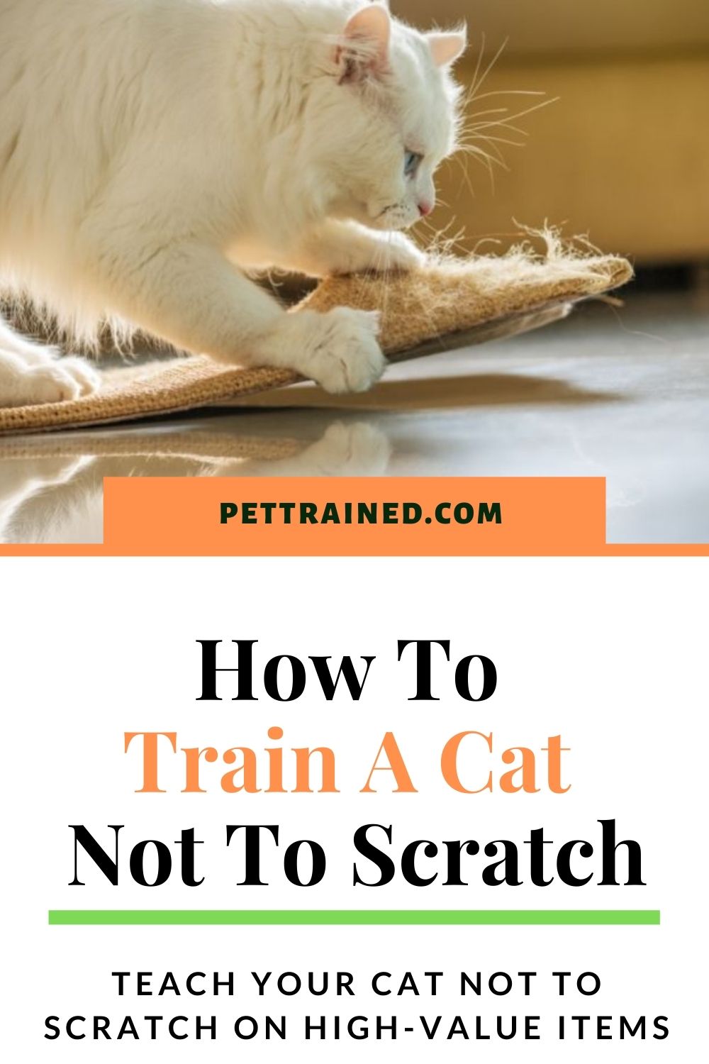 tips on how to train a cat not to scratch