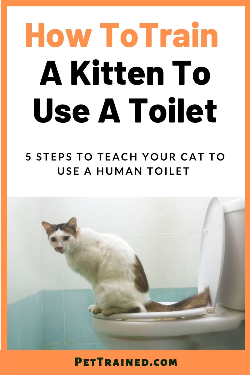 How to train a cat to use a human toilet