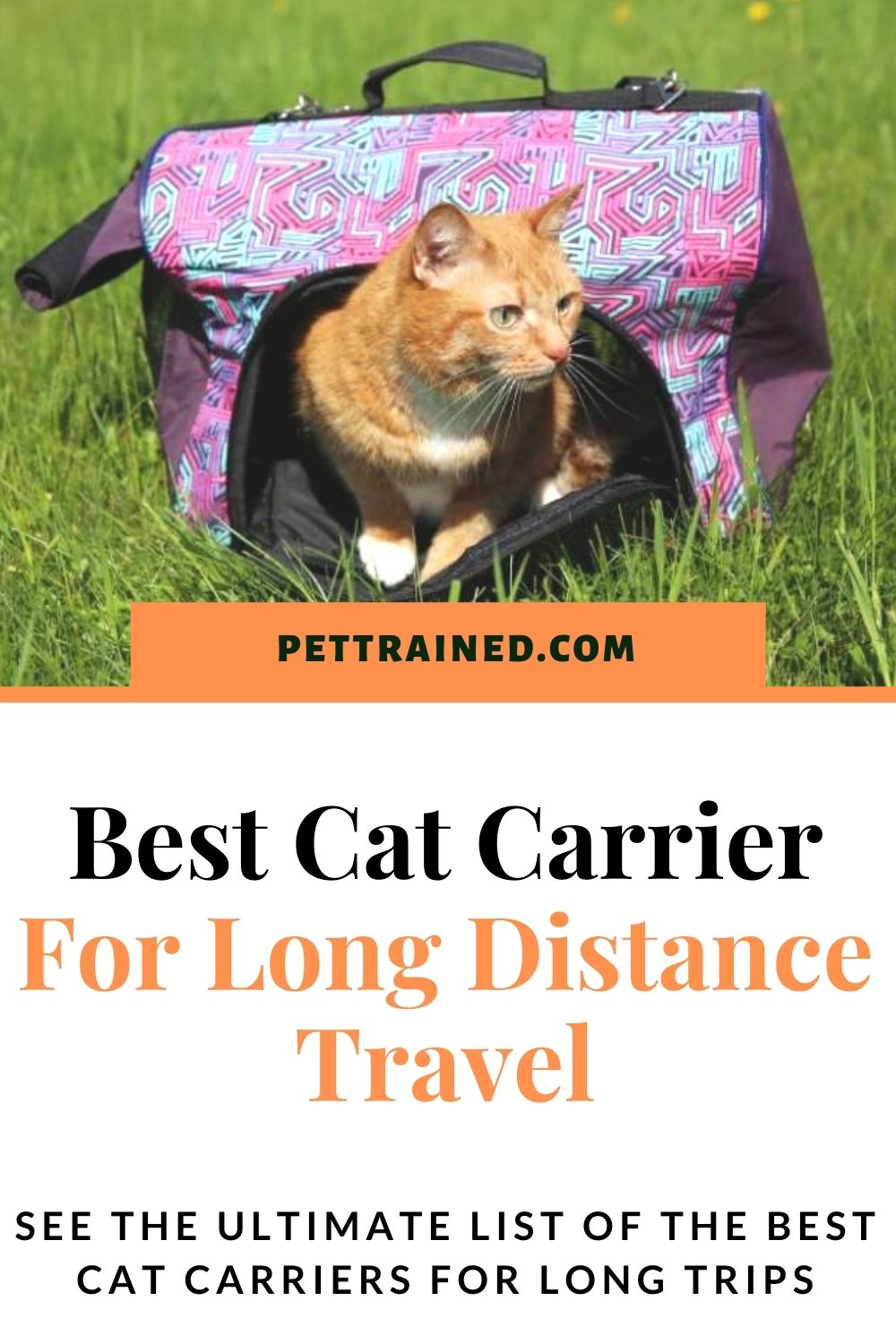 Best carrier to take a cat on a long trip