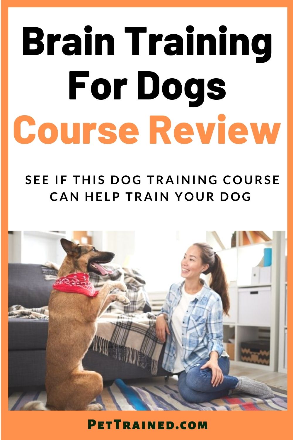 Brain training for dogs training program review