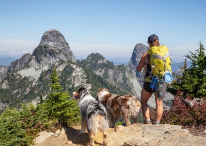 man with two dogs outdoors wearing a hiking backpack with essentials