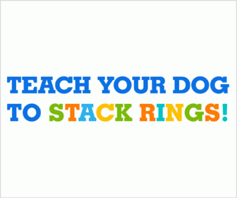 Stack the ring game for dogs