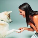 How To Train A Dog To Greet Visitors In 6 Easy Steps
