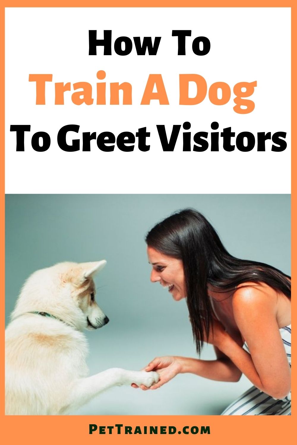 How to train a dog to greet visitors quickly