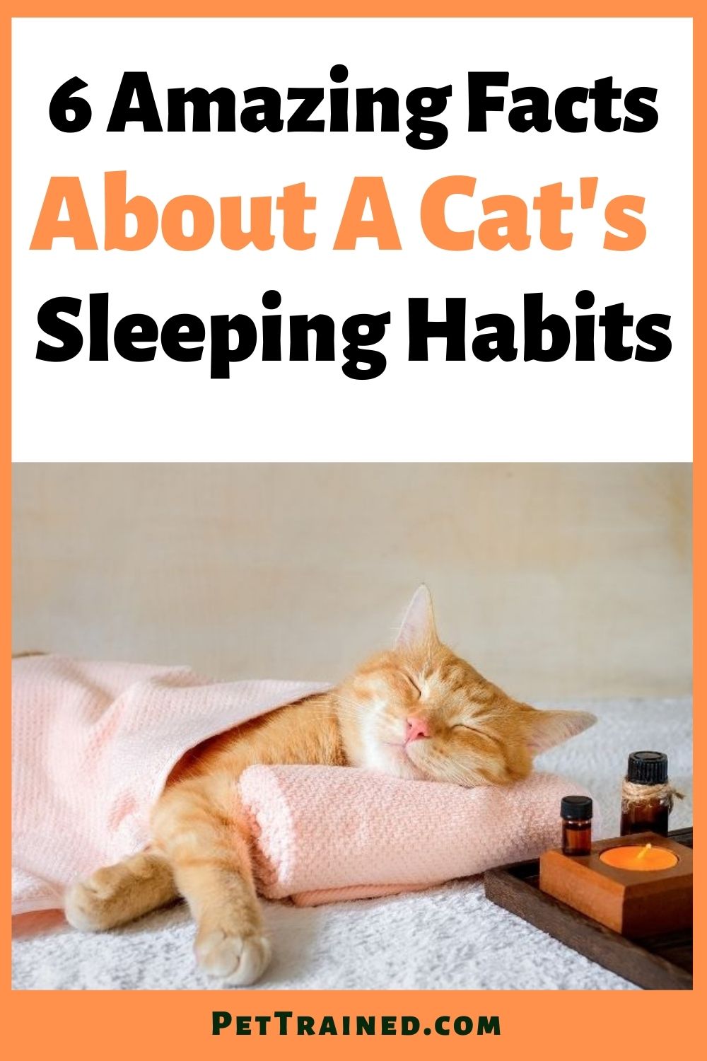 why your cat sleeps the way they do