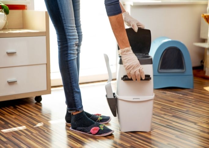 How To Select The Best Cat Litter Disposal System