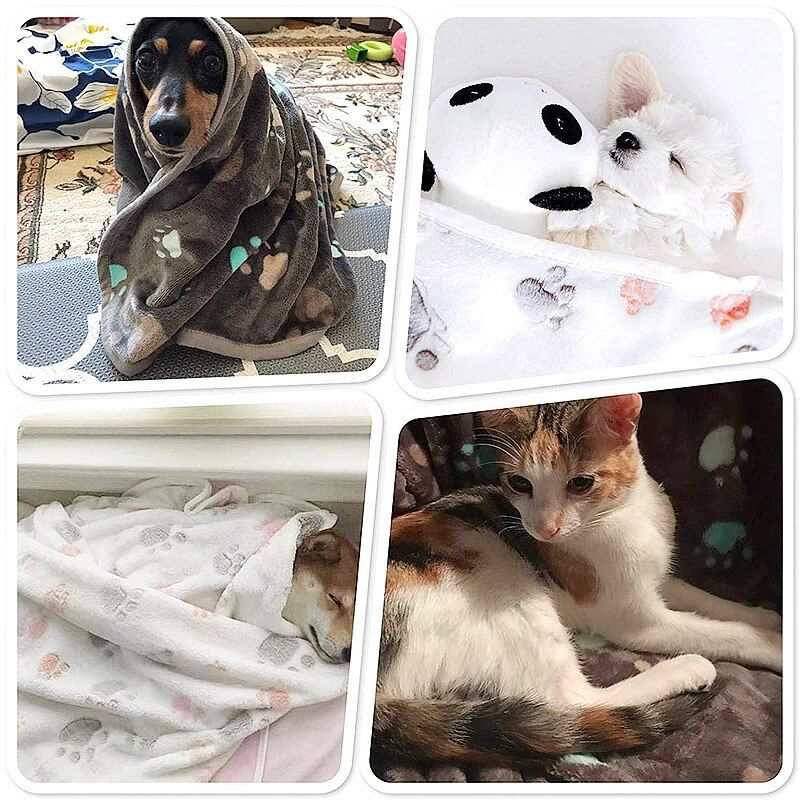 A collage of four images: a dog wrapped in a 11395-3ea111.jpg, two small dogs under a cozy 11395-3ea111.jpg with a panda toy, a dog sleeping peacefully under a 11395-3ea111.jpg, and a cat partially covered by the same warm 11395-3ea111.jpg.